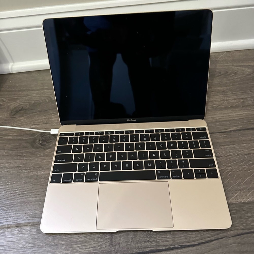 2015 APPLE Macbook 12 inch 8GB